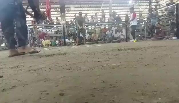 Video from DanLig’s Warriors's post