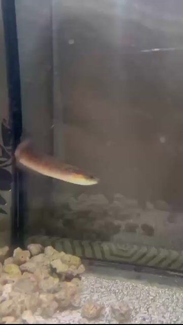 Video from Vijay Cruz's post