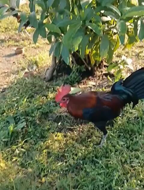 Video from alan solis's post