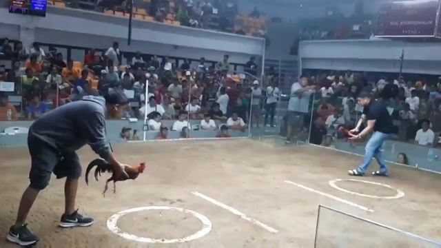 Video from CATBU Warriors's post