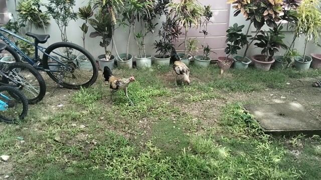 Video from JMI Kanaway's post