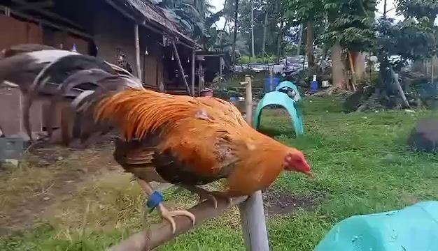 Video from Jun Wayne Faburada's post