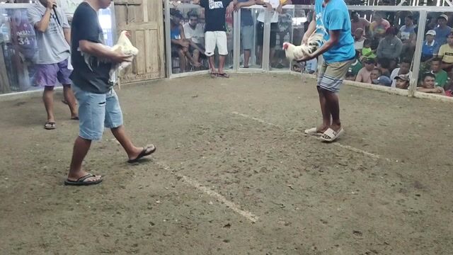 Video from Gerard Guadalquiver's post
