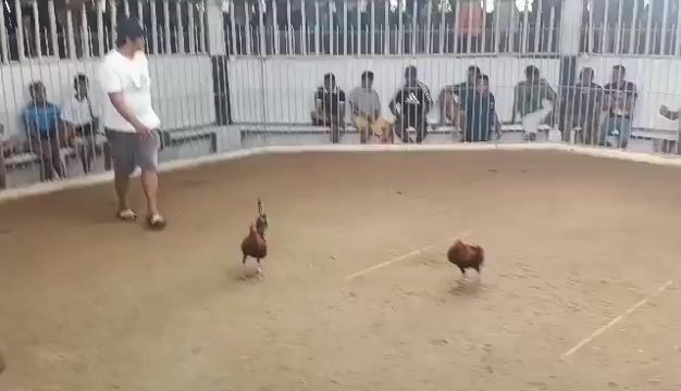 Video from Ferdinand Cuyno's post