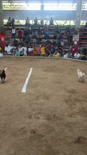 Video from Joaquin Sedano's post