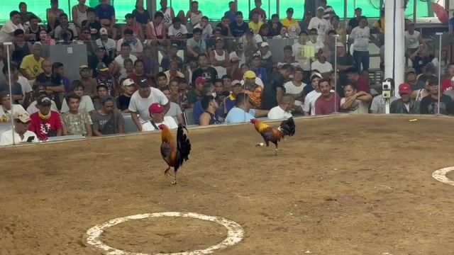 Video from Aidan La Torre's post