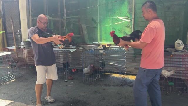 Video from Eldrich Morales's post