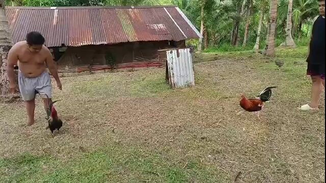Video from Edward Barrina's post