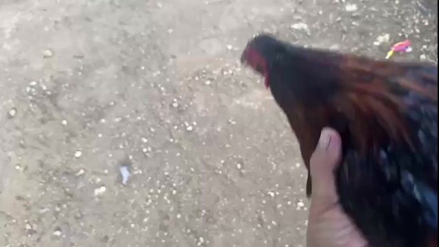 Video from alan solis's post