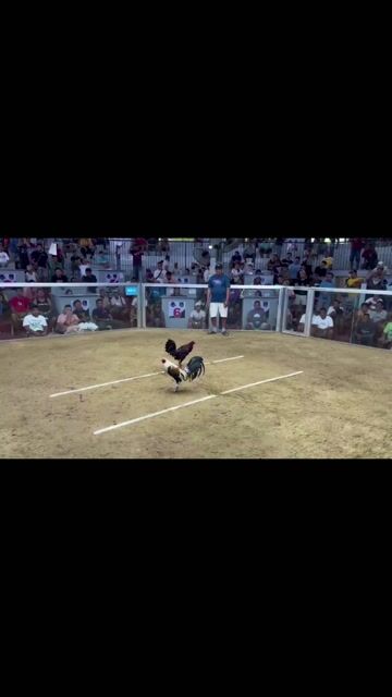 Video from JB GAMEYARD (*JBGY*)'s post