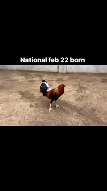 Video from Jayr Lazatin's post