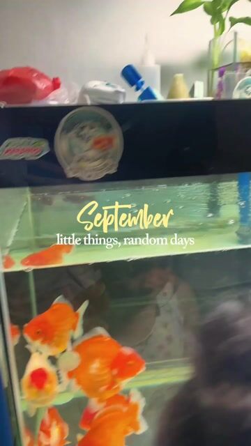 Video from Carlo Alegria's post
