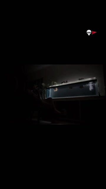 Video from Kazuo Taoka's post